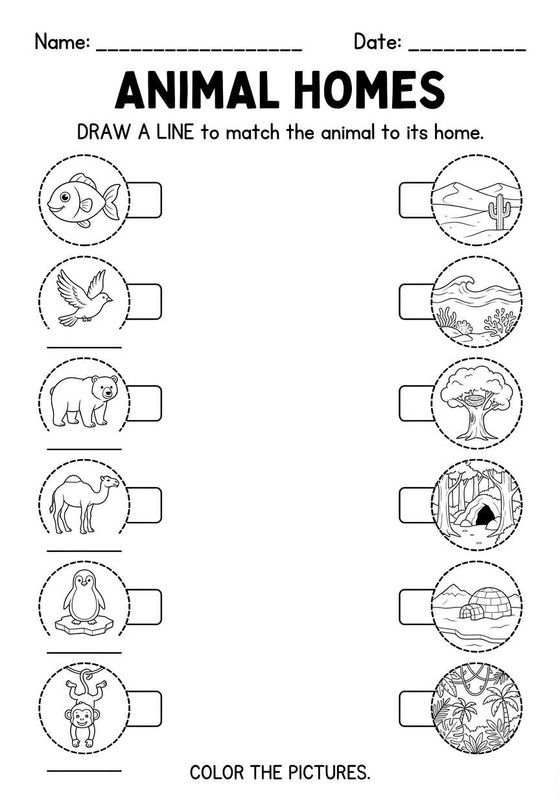 Animal Habitats worksheet preview