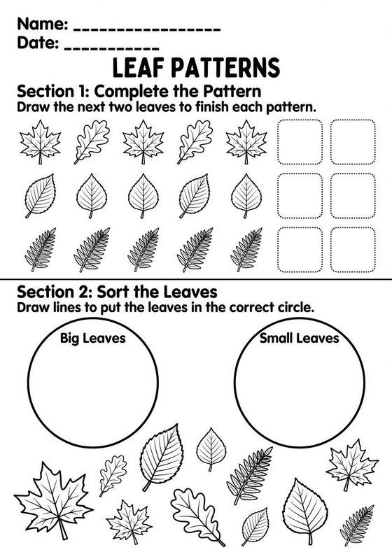 Leaf Patterns worksheet preview